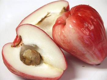 Яванское яблоко или Сизигиум