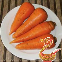 Квашеные баклажаны фаршированные морковью и чесноком