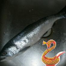 Домашняя засолка рыбы