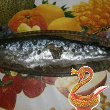 Home pickling fish