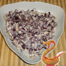 &quot;Mimosa&quot; - Russian fish salad