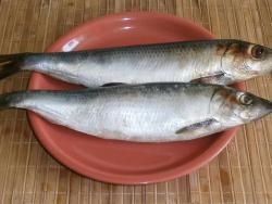 you'll need two medium salted herring