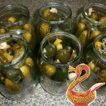 Засолка огурцов на зиму