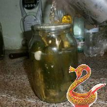 Засолка огурцов на зиму