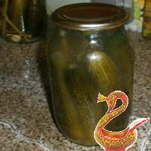 Pickling cucumbers for the winter