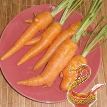 Как сварить вкусные щи из свежей капусты