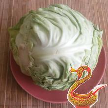 Delicious cabbage rolls recipe with a photo