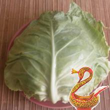 Delicious cabbage rolls recipe with a photo