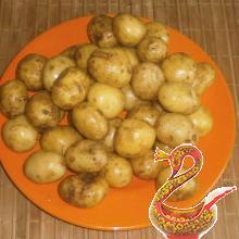 Картофель отварной с зеленью