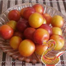 Компот из алычи