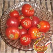 Вкусные консервированные помидоры на зиму
