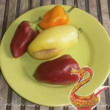 Вкусный домашний кетчуп на зиму