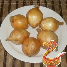 Russian canned tomatoes and onions for the winter