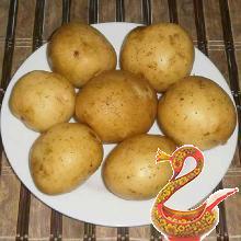 Russian recipe potatoes with zucchini