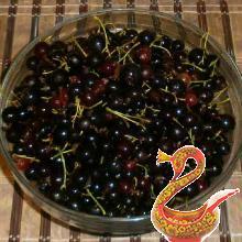 Compote Jošt for winter