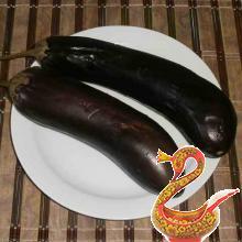 Fritters of eggplant recipe with photos