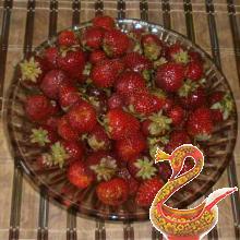 Strawberry jelly recipe