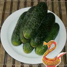 Маринованные огурцы с лимонной кислотой