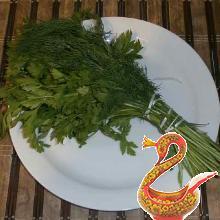 Russian recipe fried zucchini with garlic