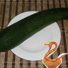 Russian recipe potatoes with zucchini