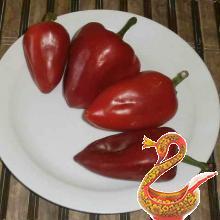  Eggplant with peppers in tomato sauce