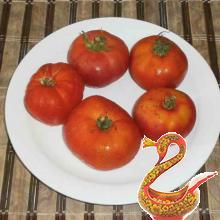 Zucchini in tomato sauce recipe with photos