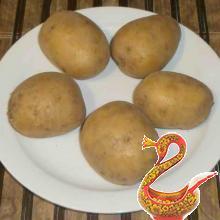 Potato pie - main Russian recipe