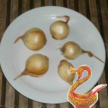 Pickled peppers with onions