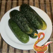 Traditional russian recipe