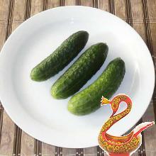 Салат с копченой рыбой