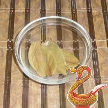 How to make salted fish. Chum salmon salted at home. 