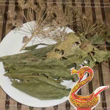 Salted cucumbers for winter
