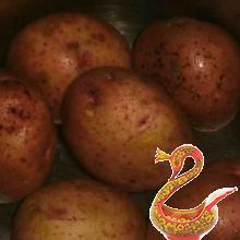 put on to cook the potatoes &quot;in uniform&quot;