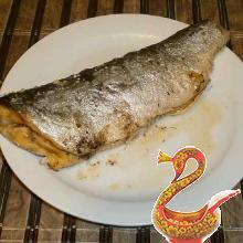 Fish with dill