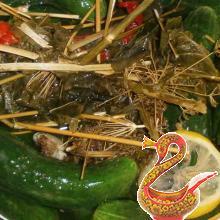 Russian homemade Salted cucumbers for winter