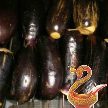 Marinated eggplant for winter