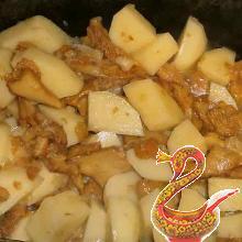 Chanterelles fried potatoes