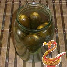 Russian homemade Salted cucumbers for winter