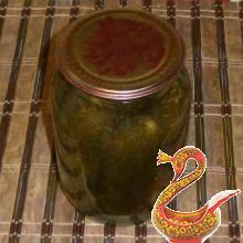 Russian homemade Salted cucumbers for winter
