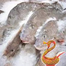 Как выбрать замороженную рыбу.